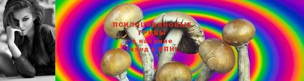 амфетамин Баксан